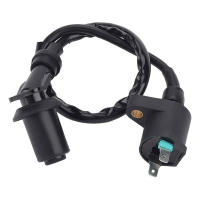 Bobina De Encendido Para Motocicleta 12V Adecuado Para Motor GY6 TRX300 50CC 125CC 150CC Bicicleta De Tierra Scooter Moped Alta Performance - details 1