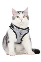 Correa Y Arnes Para Perro Y Gato De Malla Transpirable Para Verano Con Reflejos Seguro Para Chihuahua Yorkies Arnes De Cuello Básico Para Mascotas - details 15