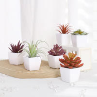 1SET(6PCS) Succulentas Simulación Pequeñas En Macetas Para Decoración De Hogar Balcón Baño Estantería Jardín Mini Realistas 22449ZH6 - details 4