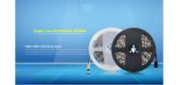 Tira De Luces LED 5050 SMD 5M 12V RGB RGBW RGBWW Impermeable 60LEDs/M Amarillo Rosa Azul Hielo Decoración De Cadena Lámpara - details 0