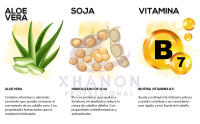 Ampollas Anticaída Cabello de Mujer y Hombre - Contenido en Biotina, Soja y Aloe Vera - Tratamiento prevención caída y fortalecedor del bulbo - 12 ampollas de 10ml (x2 PACK) - details 2