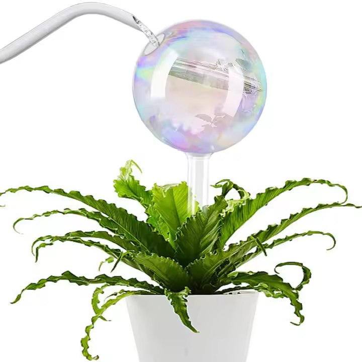 Globos de Riego para Plantas y Flores, disposiciones de Riego de Vidrio, Bebé Automático para plantas, de las plantas para Amantes Regalos (2, Globos) - 1