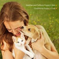 NOBLEZA Champú para Perros Gatos Piel Sensible y Atopica, Champú Cachorro y Gatito con Fragancia de Coco, Champú Perro Dermatitis y Anti olores |Sin Parabenos, Ftalatos o SLS |pH Adaptado| 250ml - details 5