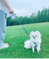 Correa Retráctil Para Perros De Medio Y Gran Tamaño 26 Pies Cuerda De Nylon Antideslizante Frenado Con Un Solo Mano Para Perros Pequeños Medianos Y Grandes - details 8