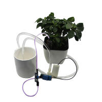 Kit De Módulo De Bomba De Agua Para Riego Automático Del Jardín Sistema De Irrigación Con Detección De Humedad Del Suelo DIY - details 2