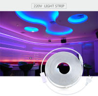 Tira De Luz LED Para Armario Cocina Y Paredes Con Enchufe EU US US Plug AC220V 110V Decorativa Y Funcional Para Armario Y Gabinete - details 0