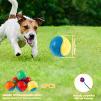 Juguetes Interactivos Para Perros 6Pcs Bolas Sonoras De TPR Masticables Resistentes Al Mordisco Para Limpieza De Dientes Y Entretenimiento - details 2