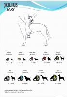 Arnes de verano para perros Julius K9 Powair , arnes ajustable con tejido transpirable y acolchado para perros Platz K9 S.L. - details 0