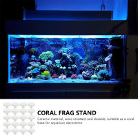 Soporte De Coral Para Acuario En Forma De T Base Cerámica Para Reproducción De Cefalópodos Y Decoraciones Para Jardín - details 0