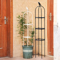 Juego De Soporte Para Plantas Trepadoras Jaula De Jardín Para Flores Y Plantas Trepadoras Marco De Potted Plant Stand DIY - details 4