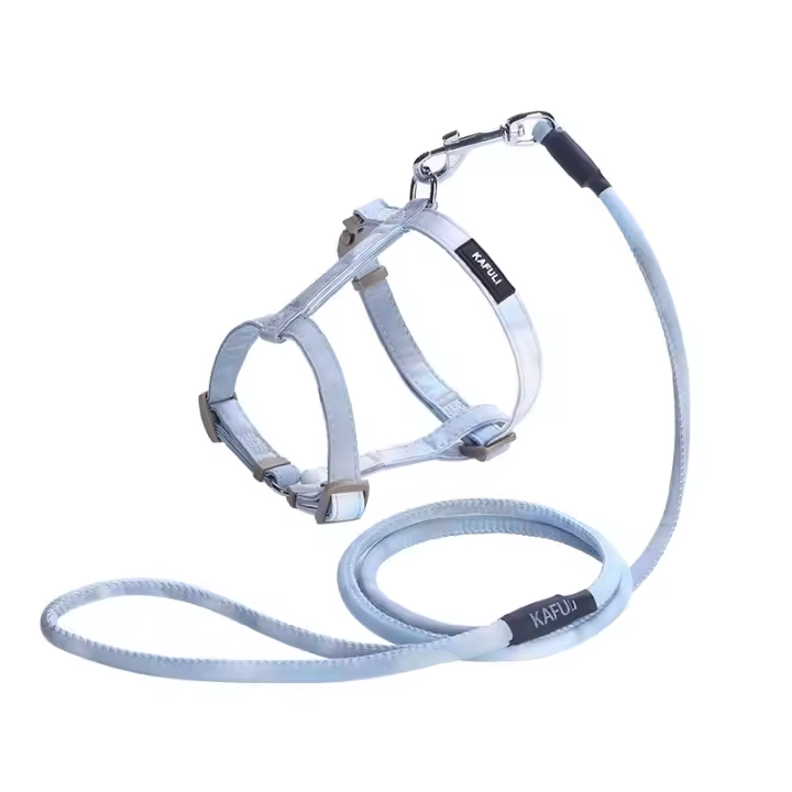Cat Harness & Lead Set - Rainbow Kitten Harness, Escape Proof, Adjustable Strap for Kitty Outdoor Walking - 1