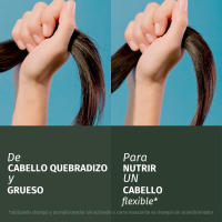 Herbal Essences Champú Reparador, Con Aceite De Argán Para Pelo Dañado. Hidratación Intensa. De Origen Natural. Sin Siliconas, Vegano, No Testado En Animales 6 Unidades - details 2
