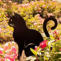 1Pc Destacado De Gato Familiar Para Jardín Decorativo Silueta Animal Para Exterior Decoración De Jardín Y Paseo - details 1