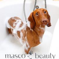 Champu natural DETOX para perros | Hidratante y Regenerante especial pieles sensibles para tu mascota | Envase de 250 ml para pieles sensibles | champú para pieles sensibles con alta concentración de Aloe Vera (20% certificado por el IASC) | Masco Beauty - details 0
