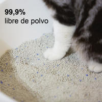 NESTQ - Arena Aglomerante Bentonita para Gatos Biodegradable – Lecho Higiénico para Gatos Súper Absorbente - Control de Olores - Pack 2 Unidades 12L - 99% Libre de Polvo - details 2