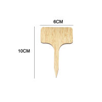 Etiquetas De Plantas Ecológicas T-Type En Madera De Bambú Resistentes Al Agua Para Jardín Semillas Hierbas En Macetas Flores Verduras Marcadores De Jardín - details 3
