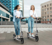 Patinete Eléctrico Plegable IENYRID 1, Motor 250W, Batería 36V 12.5Ah, Neumáticos 10 pulgadas, Velocidad Máxima 25 km/h, Autonomía 35 km, Freno Eléctrico Frontal + Freno Disco Trasero, Horquilla Suspensión Delantera, para Uso Urbano al Aire Libre - details 14