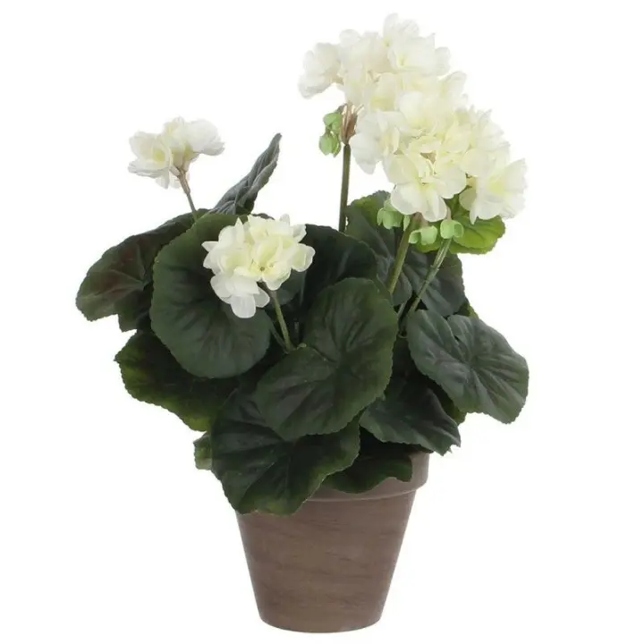 Geranio Crema Pvc en Maceta EDM 83167 - Accesorios Decorativos - 1