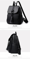 Mochipa de alta gama para Mujer, Mochipa informal de Tela Oxford para Mujer, versión Korea, Bolso de viaje de gran capacidad, Bolso Escolar - details 18