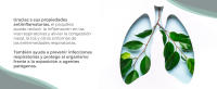 Propóleo Extracto Soria Natural - Aumenta las Defensas y Regula Sistema Inmunológico - Bote con 50ml - details 5