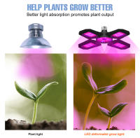 Lámpara De Crecimiento LED Para Plantas Con Espectro Completo Phytolamp Para Semillas De Flores Cultivo De Hidroponía En Invernadero Y Tienda De Vegetales - details 7