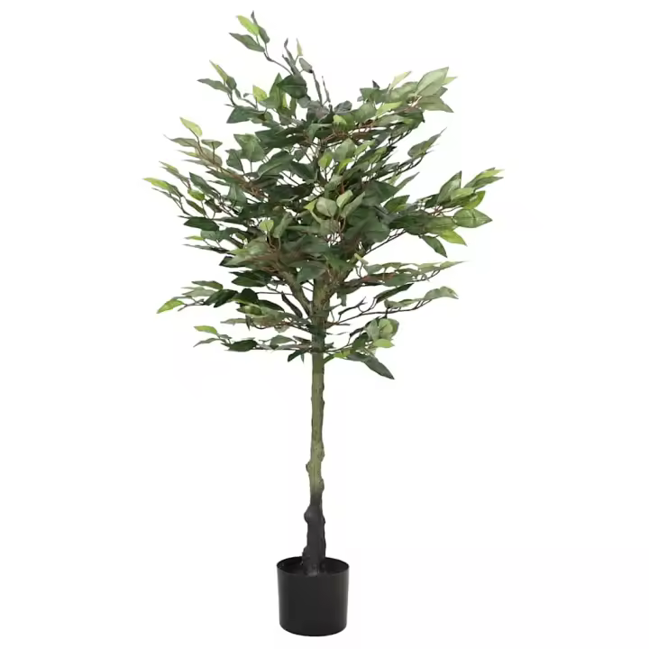 vidaXL Árbol ficus artificial con hojas verde en dimensiones 170 cm/130 cm - 1