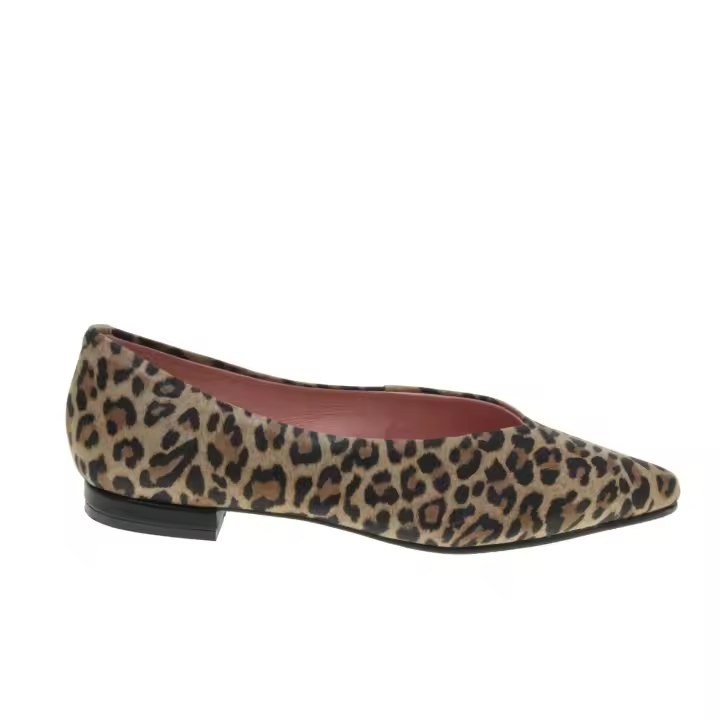 Euforia+Bailarinas mod. 700 - Bailarina plana de puntafina en aniimal print de leopardo - 1