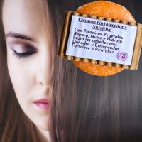 Pack 2 Champús Sólidos Fortalecedores y Nutritivos. Proteínas Vegetales. Pumarshop Cinnia Natura. Fragancia Pomelo - details 1