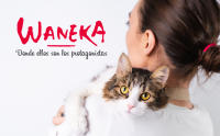 WANEKA Hamaca Gato Cama Pared Colgante Regalo Gatuno Escalera Accesorios Gatos Escalera Madera Sisal Madera Natural Cuerda y algodón Pared Escalada - details 0