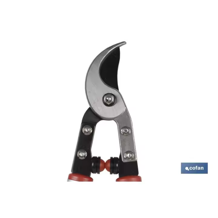 Cofan Cabezal Recambio Completo para Tijera de Poda - Longitud 40mm - 1 UNIDADES - 1