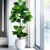 Falsa Hoja De Magnolia Y Ficus 105cm Para Decoración De Jardín Patio Interior Oficina Hoja De Figura Artificial De 41.3 Pulgadas - details 0
