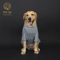 Camiseta Corta Para Perros Con Estampado 'Mommy's Girl' Y Agujero Para Correa/Drenaje Disponible En Dos Colores - details 7