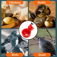 6-36pcs Dispensador Automático De Agua Para Pollos Bebedero De Pájaros Granja Suministros Para Aves Como Pollo Pato Ganso - details 4