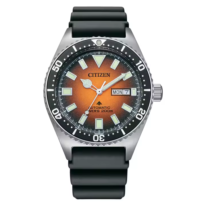 NY0120-01Z Reloj Promaster de Citizen España de la colección Promaster - 1