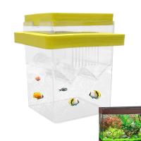 Caja De Cría De Peces Flotante Incubador De Acuario Con Ventosas Para Guppys Y Bettas Caja De Aislamiento Para Amantes De Los Peces Material Plástico - details 5