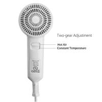 220V 1200W Ventilador de secador de pelo - details 1