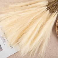 1/5PCS Flor De Pampas Artificial En Estilo INS Alta Calidad Plantas Falsas Para Decoración Bohemia De Hogar Y Jardín Para Dormitorio Y Balcones - details 16
