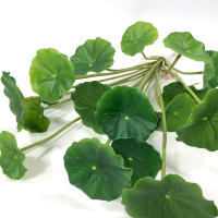 Plantas Artificiales De Loto Y Eucalipto 37cm Con 18 Cabezas Hojas De Cobre Para Decoración De Oficina Y Hogar Plástico Realista - details 5
