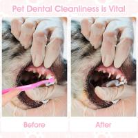 4 Pendientes de dientes para Gatos, reversibles para Gatos y Perros, Cuchillo de dientes fácil para Gatos, cuidado Dental - details 2