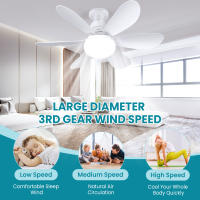 Ventilador de techo con luz y Control Remoto, Ventiladores de Techo Silencioso con Casquillo E27 de 30/40W, 6 Aspas, 3 Velocidades, Luz Fría/Neutra/Cálida, para Dormitorio, Sala de Estar - details 3