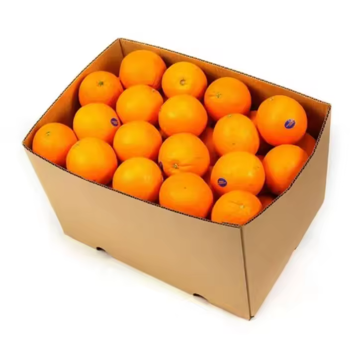 N/A Caja de Naranjas Navelina para Mesa, Jugosas y Nutritivas - 1
