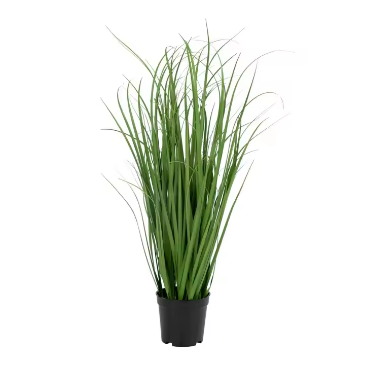 Planta Poa Artificial, Polietileno, Verde, 30x30x68 cm - 1