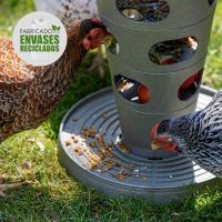 FINCA CASAREJO - Comedero Divertido para Gallinas - Alimentación Interactiva - details 2