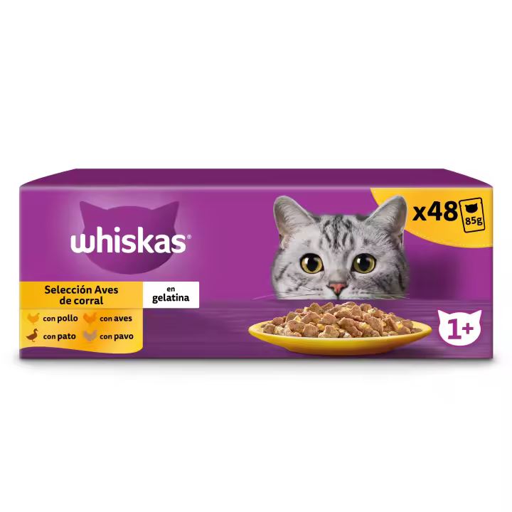 Whiskas Comida Húmeda para Gatos Adultos Selección Aves en Gelatina Multipack (4 x 12 x 85g) - 1