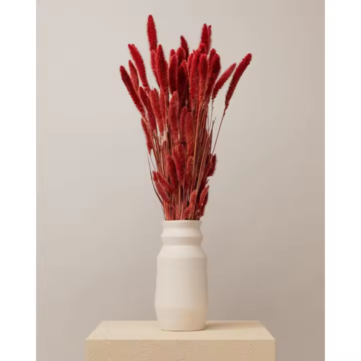 Setaria seca roja (mazo)-Mazo completo - 1