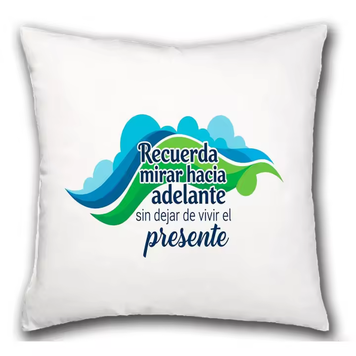 MERCHANDMANIA Cojín frase motivadora sueño futuro presente esfuerzo hogar comodo cussion - 1