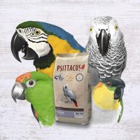 Psittacus Alta Energia 12 Kg - Alimento Premium High Energy para Loros Africanos: Pienso Completo Alta Energia para Yacos, Guacamayos y Otras Especies  100% Libre de Organismos Modificados Genéticamente (OMG) - details 1