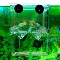 Incubador De Acuario Multifuncional Para Crecimiento De Peces Transparente 1L Con Doble Capacidad Para Guppies Y Reproducción De Peces - details 2