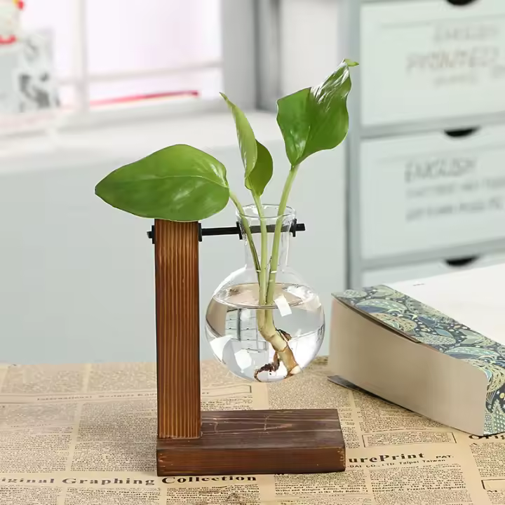 Vaso De Vidrio Verde De Piña Con Marco De Madera Creativo Vaso Hidroponico Para Arreglo Floral Decoración De Escritorio Hogar - 1