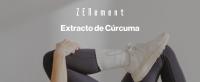 Extracto de Cúrcuma con Pimienta Negra - 120 Cápsulas Zenement - details 0